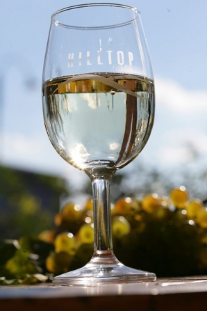 Sauvignon Blanc Sauvignon Blanc