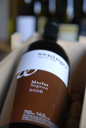 Merlot Merlot