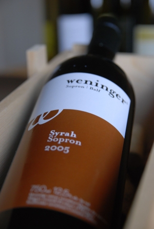 Syrah Syrah