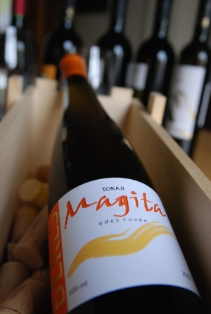 Magita Magita