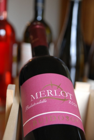 Merlot Merlot
