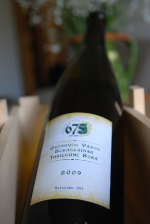 Gyöngyös Bora - Sauvignon Blanc Gyöngyös Bora - Sauvignon Blanc