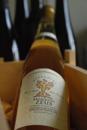 Zeusz Zeusz