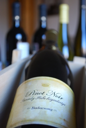 Pinot Noir Fehér Pinot Noir Fehér