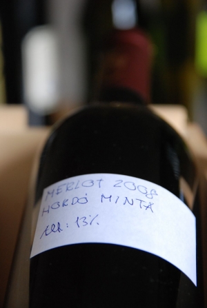 Merlot hordóminta Merlot hordóminta