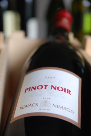 Pinot Noir Pinot Noir