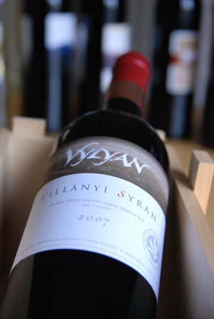 Syrah Syrah
