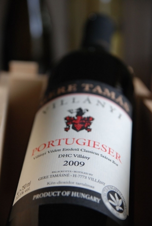 Portugieser Portugieser