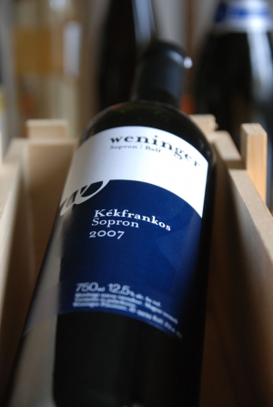 Kékfrankos Kékfrankos