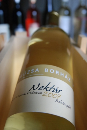 Nektár Nektár