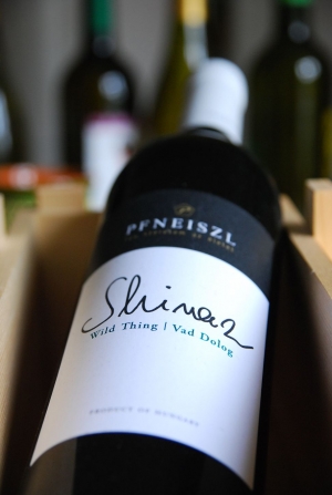 Shiraz Vad Dolog Shiraz Vad Dolog