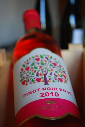 Pinot Noir Rosé Pinot Noir Rosé