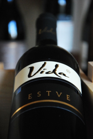 Estve Estve