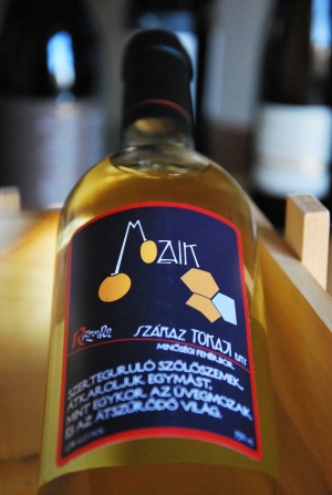 Mozaik Furmint Mozaik Furmint