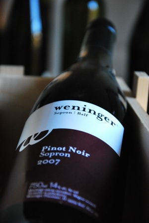 Pinot Noir Pinot Noir