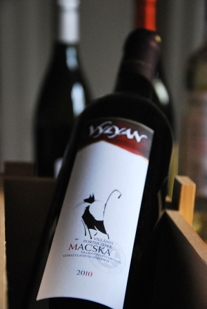 Villányi Portugieser (Macska) Villányi Portugieser (Macska)