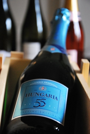Hungaria 55 Hungaria 55