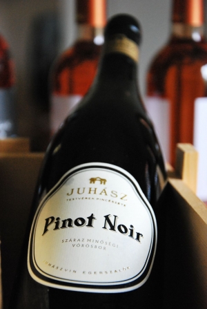 Egri Pinot Noir Egri Pinot Noir