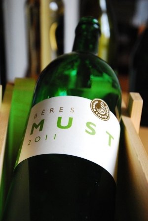 Must Must