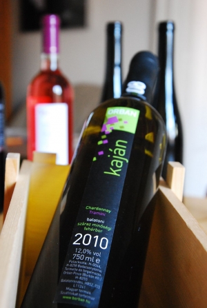 08 Kaján Küvé 08 Kaján Küvé