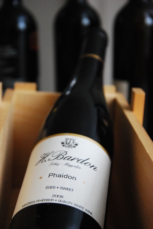 Phaidon Phaidon