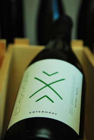 Etyeki Kúria Sauvignon Blanc Etyeki Kúria Sauvignon Blanc