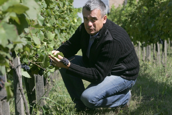 Átalakul a Borászok Borászának kiválasztása Átalakul a Borászok Borászának kiválasztása