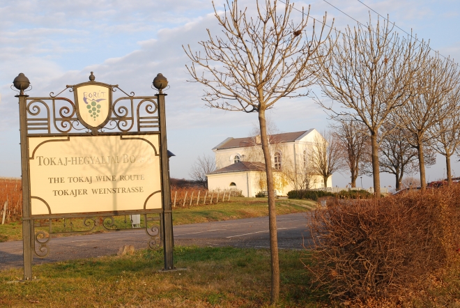 Tokaj kontra Tokay, Tocai Tokaj kontra Tokay, Tocai