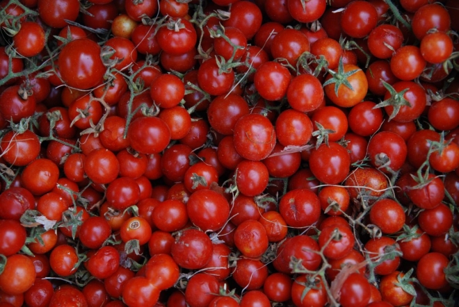 Mit érhet néhány szem paradicsom? Mit érhet néhány szem paradicsom?