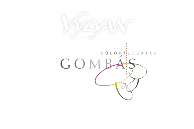 Pinot Noir a Gombás dűlőből 1. rész Pinot Noir a Gombás dűlőből 1. rész