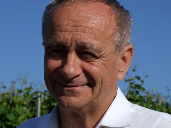 A furmint értelmezése az utóbbi húsz év tükrében A furmint értelmezése az utóbbi húsz év tükrében