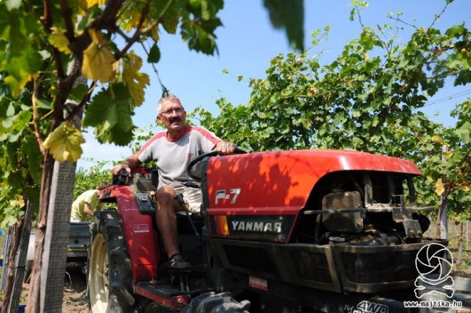 Etyeken fogadni a vendéget Etyeken fogadni a vendéget
