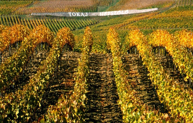 A Hétszőlő a Legszebb Szőlőbirtok A Hétszőlő a Legszebb Szőlőbirtok