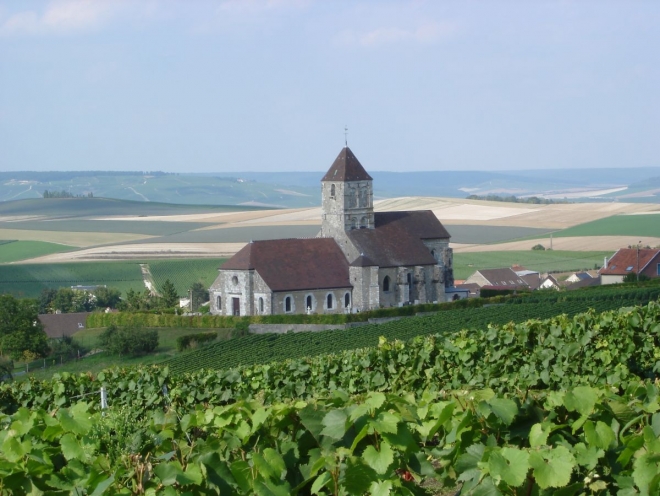 A blanc de blancs specialistája A blanc de blancs specialistája