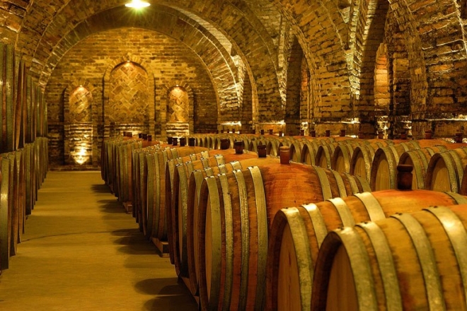 Syrah-ültetvény egy nemzeti parkban Syrah-ültetvény egy nemzeti parkban