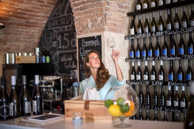 Az Egri borvidék egyetlen házba sűrítve Az Egri borvidék egyetlen házba sűrítve