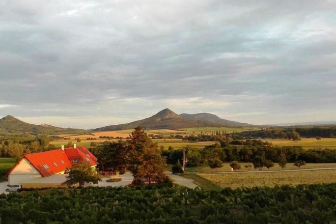 A Villa Tolnay Nagy Lacija: Egy őrült maximalista vagyok A Villa Tolnay Nagy Lacija: Egy őrült maximalista vagyok