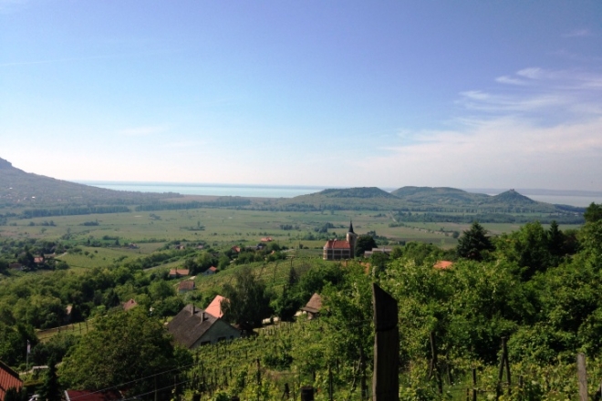 A badacsony egyik legszebb kilátása, a lila akácos terasz A badacsony egyik legszebb kilátása, a lila akácos terasz