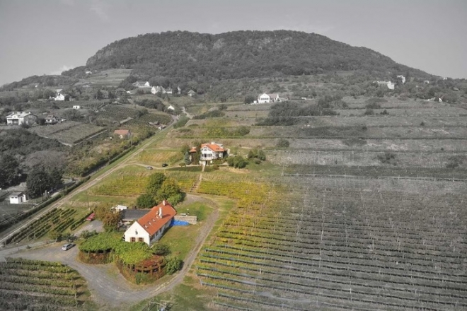 Negyed évszázada karakter, minden magyar felismeri Negyed évszázada karakter, minden magyar felismeri