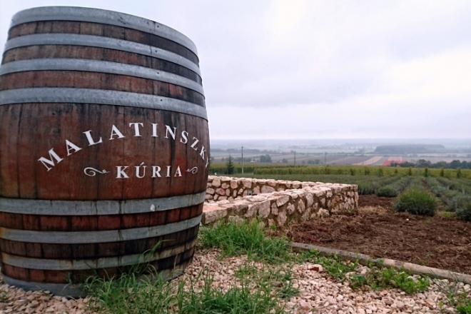 A gasztronómiában és a borban is elmentünk már a falig A gasztronómiában és a borban is elmentünk már a falig
