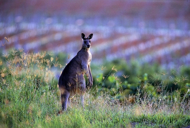 Borús vagy csak kihívásokkal teli? Borús vagy csak kihívásokkal teli?