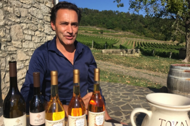 Pajzos Pincészet – egy elfeledett legenda újjáéled Pajzos Pincészet – egy elfeledett legenda újjáéled