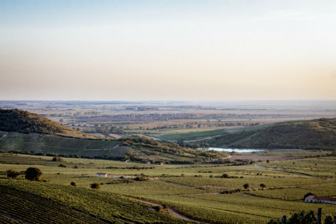 Tokaj-Hegyalján talán az ősz a legszebb évszak Tokaj-Hegyalján talán az ősz a legszebb évszak