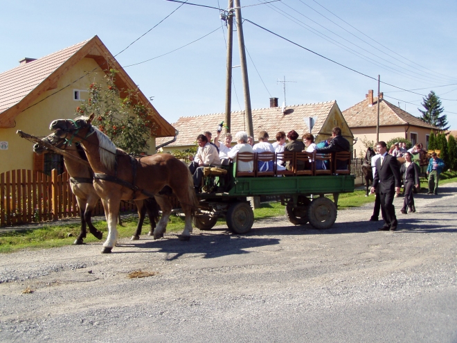 A legjobb miseborokról A legjobb miseborokról