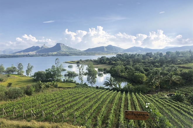 Egy újabb Kína-méretű piac tárja ki éppen a kapuit a világ előtt Egy újabb Kína-méretű piac tárja ki éppen a kapuit a világ előtt