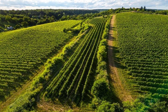 Legendás dűlők Magyarországon Legendás dűlők Magyarországon