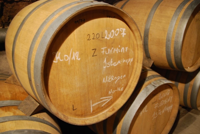 Tokaj, akár egy oltárkép Tokaj, akár egy oltárkép