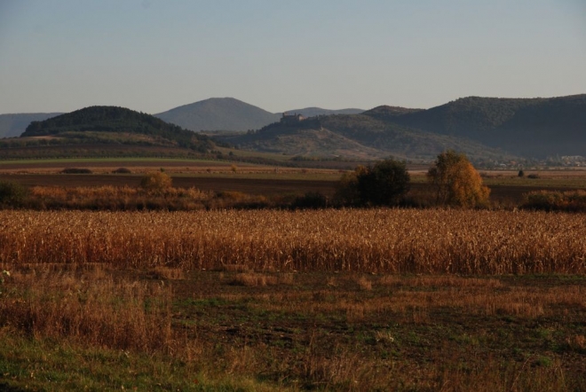 Elindult a Borkaland.hu Elindult a Borkaland.hu