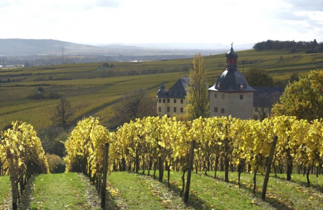 Rövid borhírek Németországból Rövid borhírek Németországból