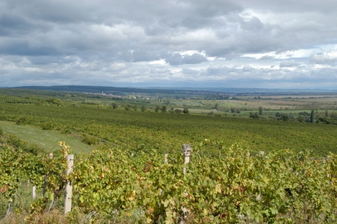 A 2009-es évjárat Sopronban A 2009-es évjárat Sopronban